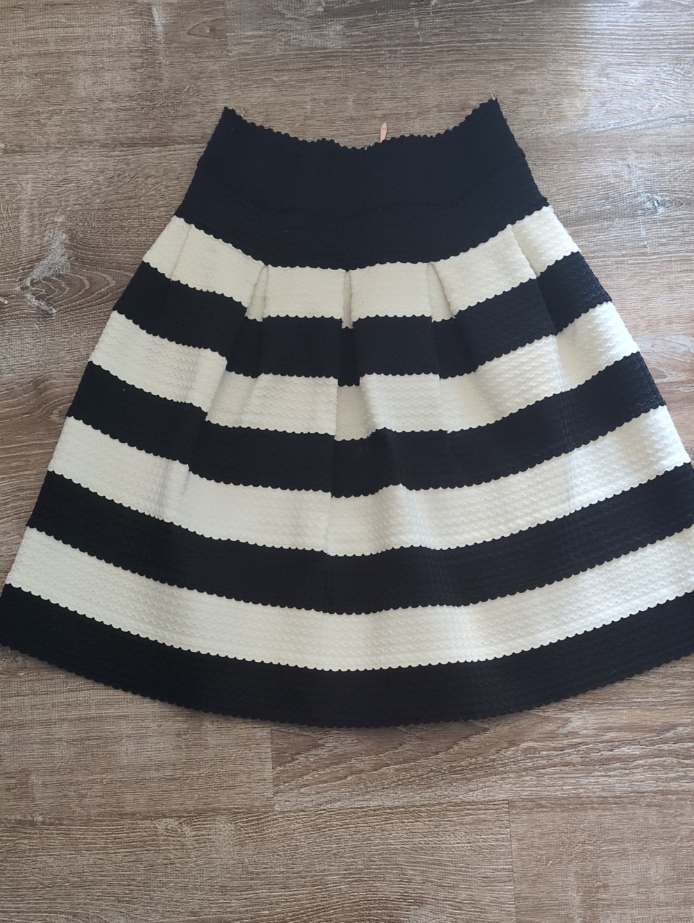 Striped Black and White A-Line Skirt